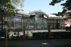 IMG_4887
