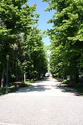 IMG_4888