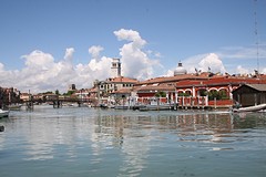 IMG_4890