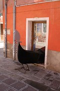 IMG_4892