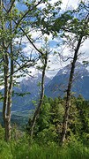 20160526_161515