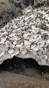 20160526_171908