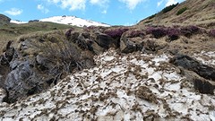 20160526_171914