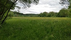 20160529_201641