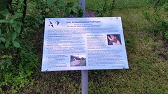 20160529_204818