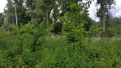 20160531_114255