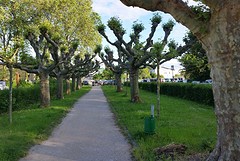 20160531_192150-1