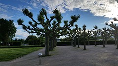 20160531_194406