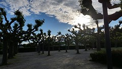 20160531_194409