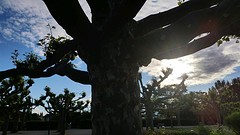 20160531_194446