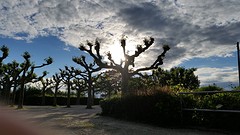 20160531_194706