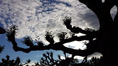 20160531_194942