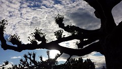 20160531_195040