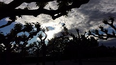 20160531_195103