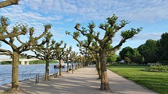 20160531_195107