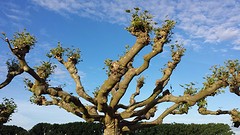 20160531_195125