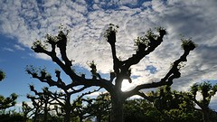 20160531_195229