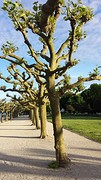 20160531_195319