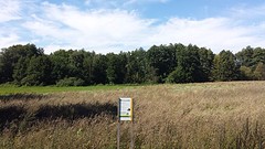 20160826_142943