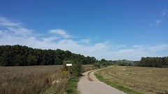 20160826_142947