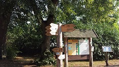 20160827_093952