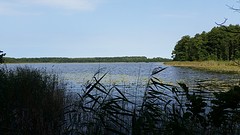 20160827_114111