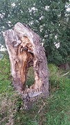20160829_140231
