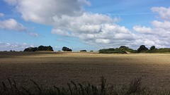 20160830_101908