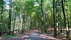 20160831_161359
