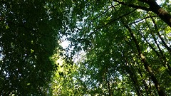 20160831_161403