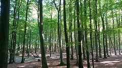20160831_161406