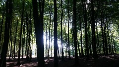 20160831_161409