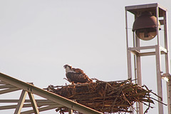 Viasarend-P8260802web