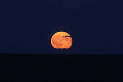 Opkomende-volle-maan-IMGL0616