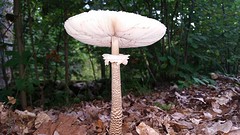 20160909_140659