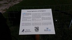 20160910_165234