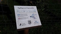 20160910_165400