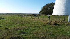 20160910_165810