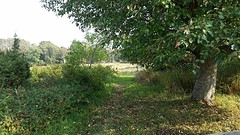 20160911_151743