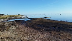 20160913_091655