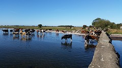 20160913_091934