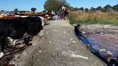 20160913_092010