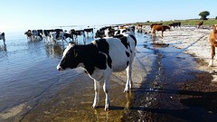 20160913_092021
