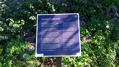 20160913_124429
