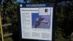 20160913_124456