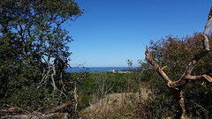 20160913_124614