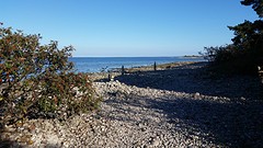 20160913_164021