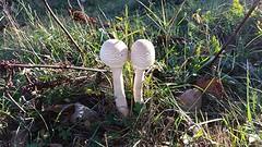 20160913_165618