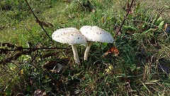 20160915_091200