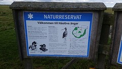 20160917_120856